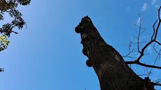 Запорожье 11. 09. 2023 Не вытерпела....
