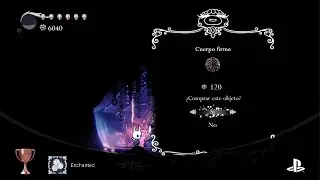 Hollow Knight: Voidheart Edition