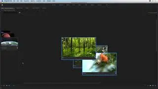 Adobe Premiere - Freeform storyboards