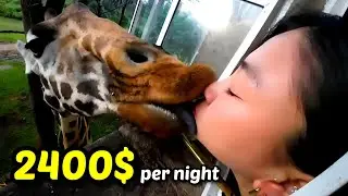 I Paid $2400 per night to Sleep with Giraffe. 1박 300만원 기린호텔 리뷰
