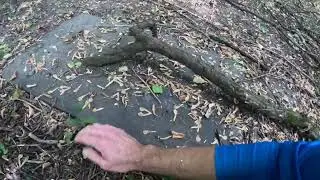 Finding treasure on islands!