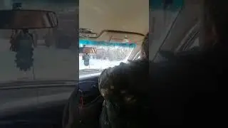жеское дтп два полуприцепа