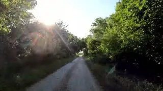 Taking a long quiet summer bike ride through trees