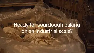 Ready for sourdough baking on an industrial scale?
