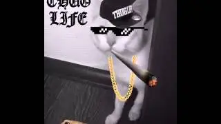 Thug Life Cat