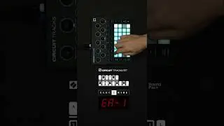 ELECTRIBE EA-1 #NOVATION #KORG #CIRCUIT TRACKS