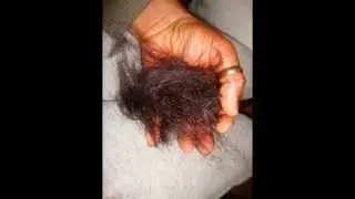 Cheveux abîmés, défrisage ,je coupe ,lissage . Challenge POUSSE.