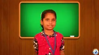 Bright Light Classes Student's Review 2019-2020 | BLC EDUCATIONAL INSTITUTE