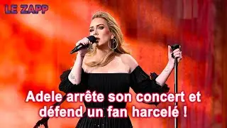 Adele arrête son concert pour défendre un fan 😱