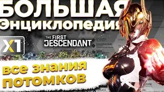 Большая энциклопедия The First Descendant.