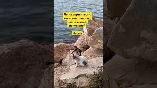 Мудрость Древних