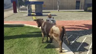 GTA V event - Honíme policistu jako zvěř