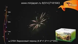 СП04 Ледниковый период