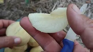 Peach Ice Peach, instructions for use!!!