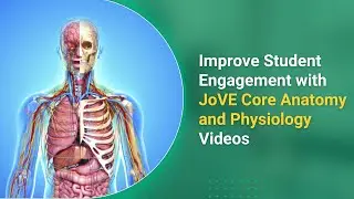 Boost students' learning outcomes with JoVE Core Anatomy and Physiology Videos