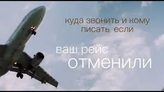 Что делать когда рейс отменили?