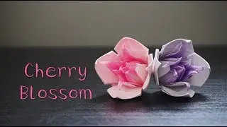 Origami Tutorial: Cherry Blossom (Pham Hoang Hai)｜Hello Malinda
