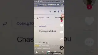 Охота на сову