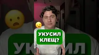 УКУСИЛ КЛЕЩ? 🕷️ 