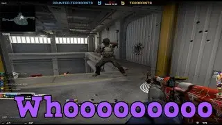 Therepeautic csgo moments