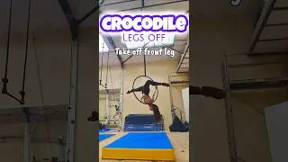 #aeriallyra #aerial #aerialhoop #aerialflow #lyrahoop #acrobatics #aerialtricks #aerialdance #dance