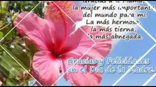Vídeo para dedicar a las mamas