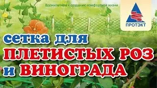Установка опоры для винограда