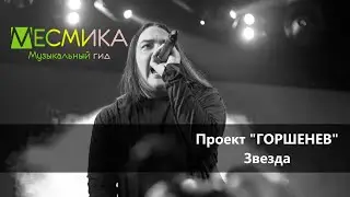 Проект ГОРШЕНЕВ - Звезда