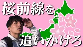 5月に桜前線を追うように北上したら桜はどこで見れる？