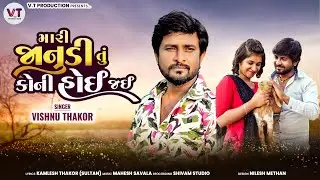 મારી જાનુડી તું કોની હોઈ જઈ | Mari Janudi Tu Koni Hoi Jaye - Audio | Vishnu Thakor | નવું ગીત 2025
