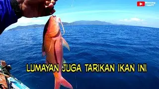 Alhamdulillah!! dengan umpan ikan, hasilnya tidak mengecewakan