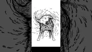 Drawing a wet dog in Procreate #shorts