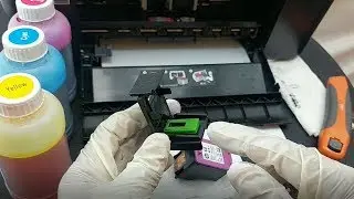 Como recargar los cartuchos de tinta HP 60 Tricolor (CC643WN)