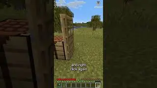 How to Make a Door in Minecraft | Minecraft Server Hosting