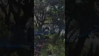 . Pones tu pie en el camino, y si no cuidas tus pasos, nunca sabes a dónde te pueden llevar".