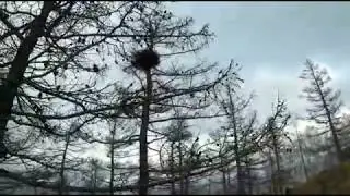 Подъем на гору над Алтынаем на озере Банном