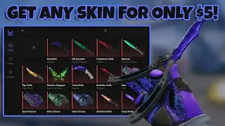 Get *ANY SKIN* For Only $5! | Mesachanger Showcase!