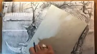Come disegnare un rinoceronte parte 20