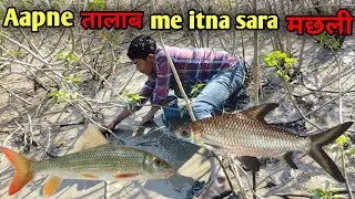 अपने तालब मे मछली ❌machali framing big fish my talab. 🥰🥰
