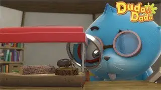 Duda&Dada English 30min random compilation #8 | Kids Animation | Funny🤣