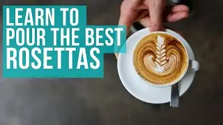 Beginner Latte Art - Guide to Pouring Rosetta Pattern