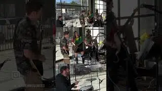 IMU Intuitive Minds United - Easy Skanking - Bob Marley and the Wailers Cover by IMU #rootsmusic