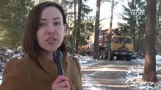 Впечатляющие масштабы вырубки леса под дорогу к мосту через Тагильский пруд!