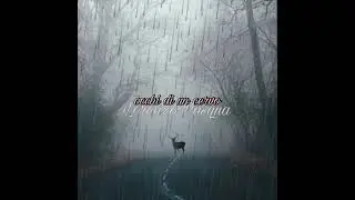 Lorenzo Pasqua - occhi di un cervo