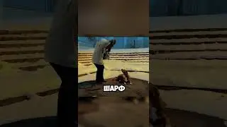 Он никогда не переставал искать своего хозяина 🥺  