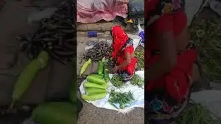 17 10 2022 morming 5