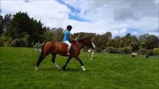 Bareback jumping course and tackless (no tack) riding