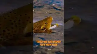 Ezan okundu Allah kabul etsin #trout #troutfishing #alabalık #fishing #alabalıkavı