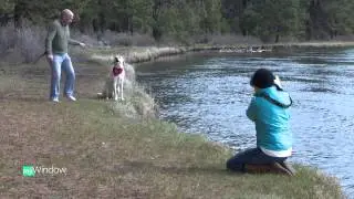 Pet Photo tricks by John Hammarley
