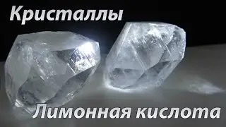 Citric acid crystals